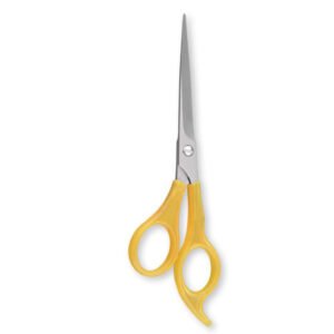Plastic Handle Barber Scissor