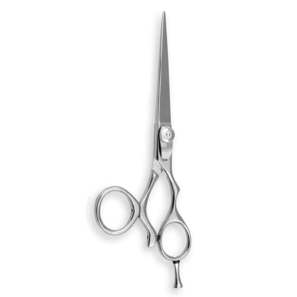 Professional Barber Shear