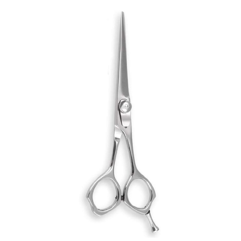 Professional Barber Shear