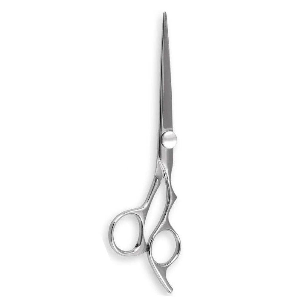 Professional Barber Shear