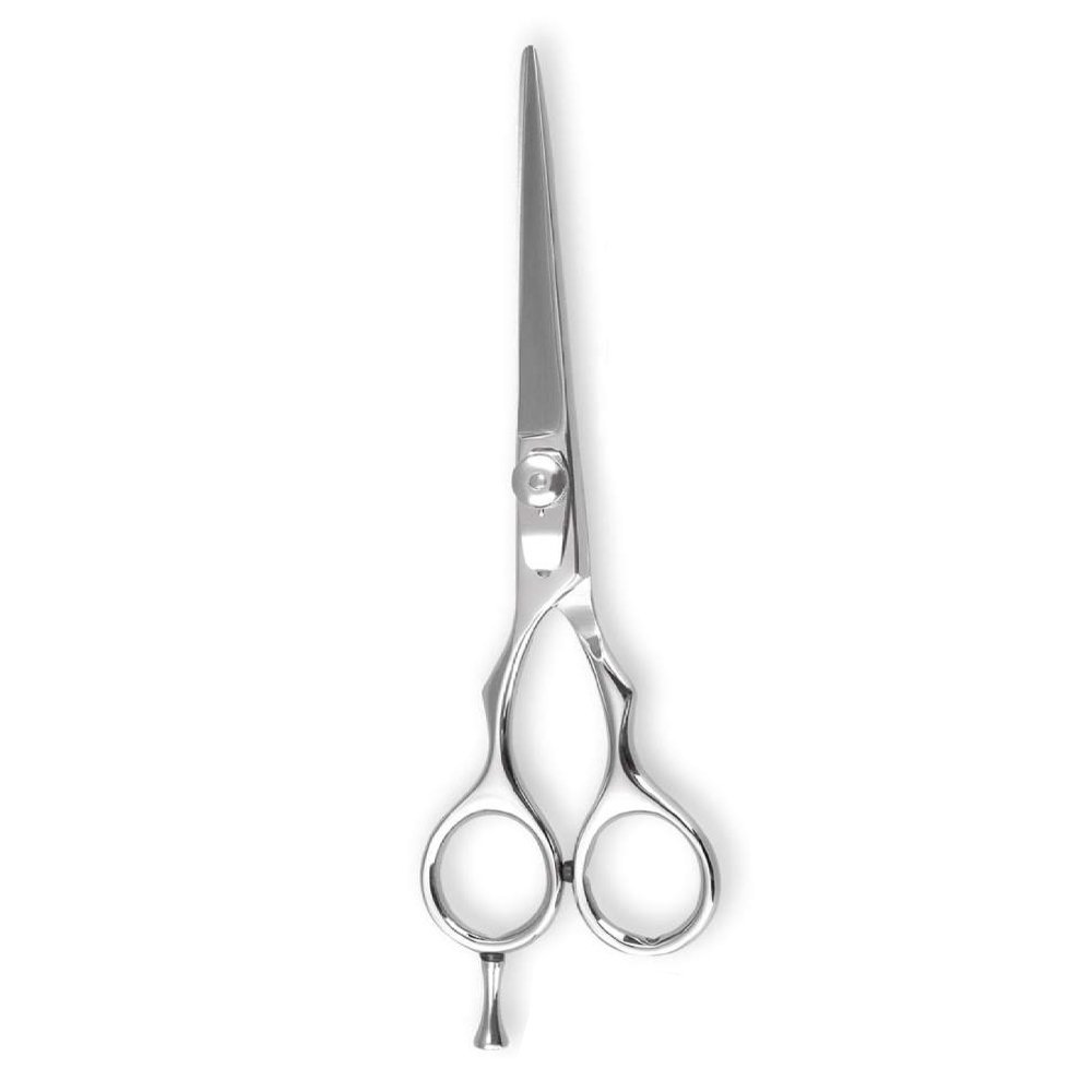 Professional Barber Shear