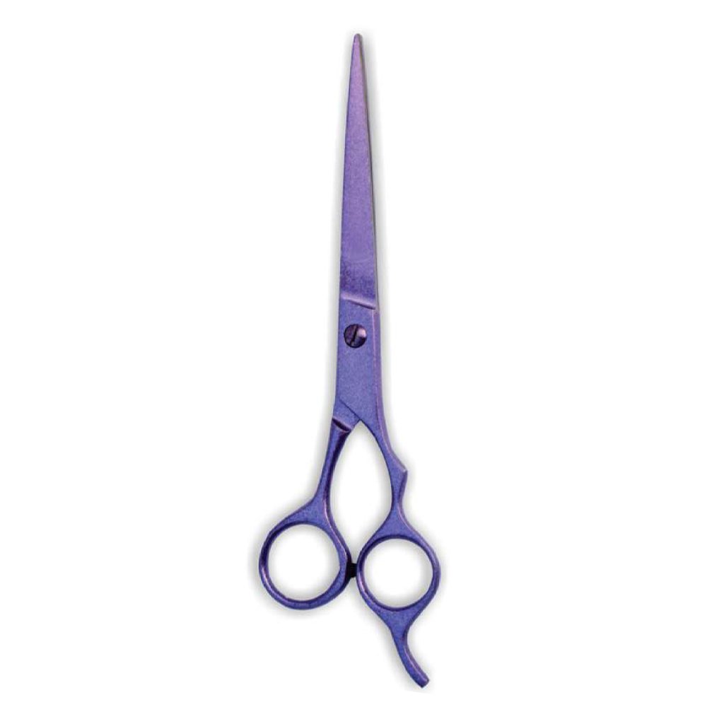 Professional Barber Shear